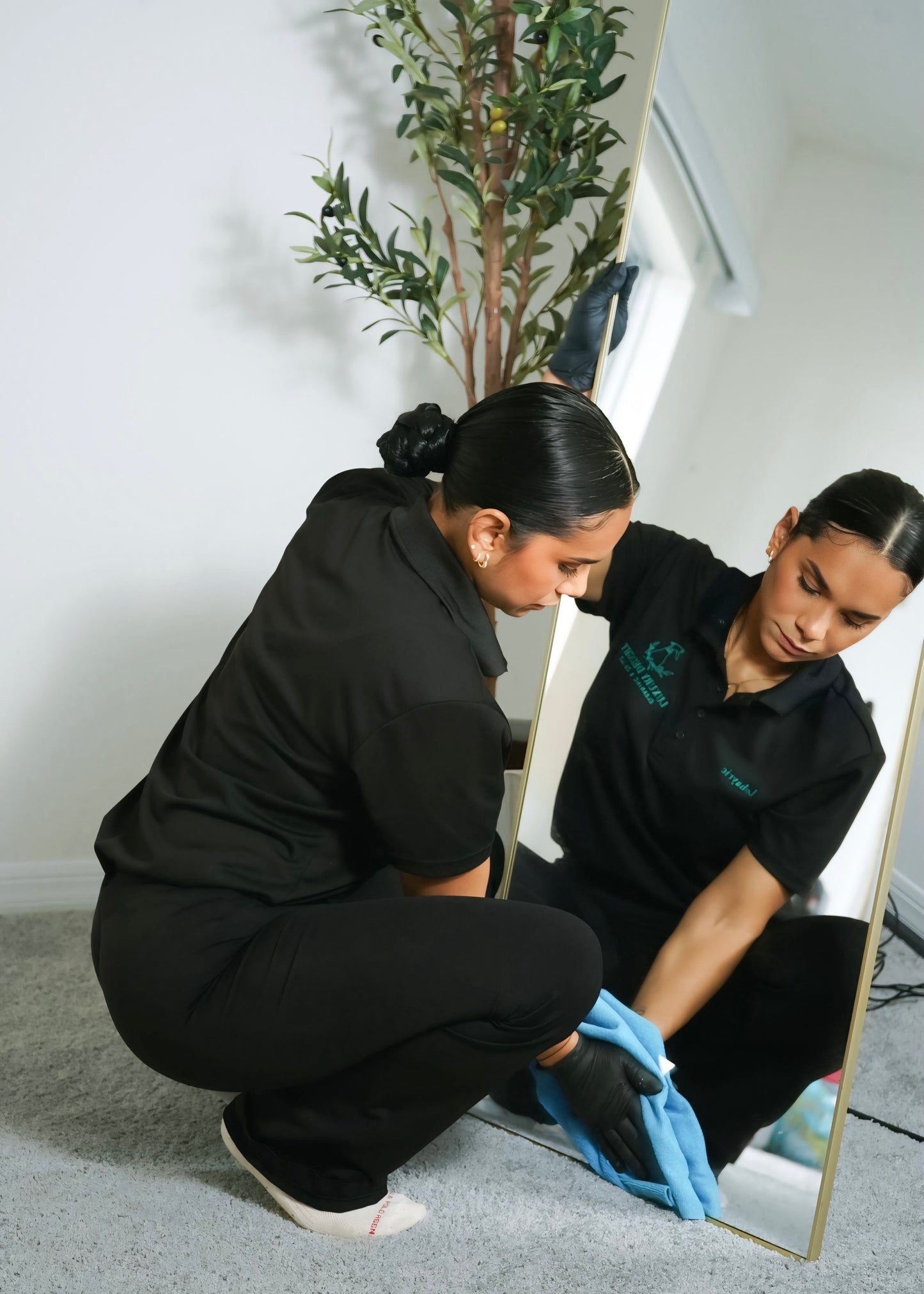Luxury to Legacy: Build Your Cleaning Empire